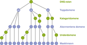 Trestrukturen i Domain Name System