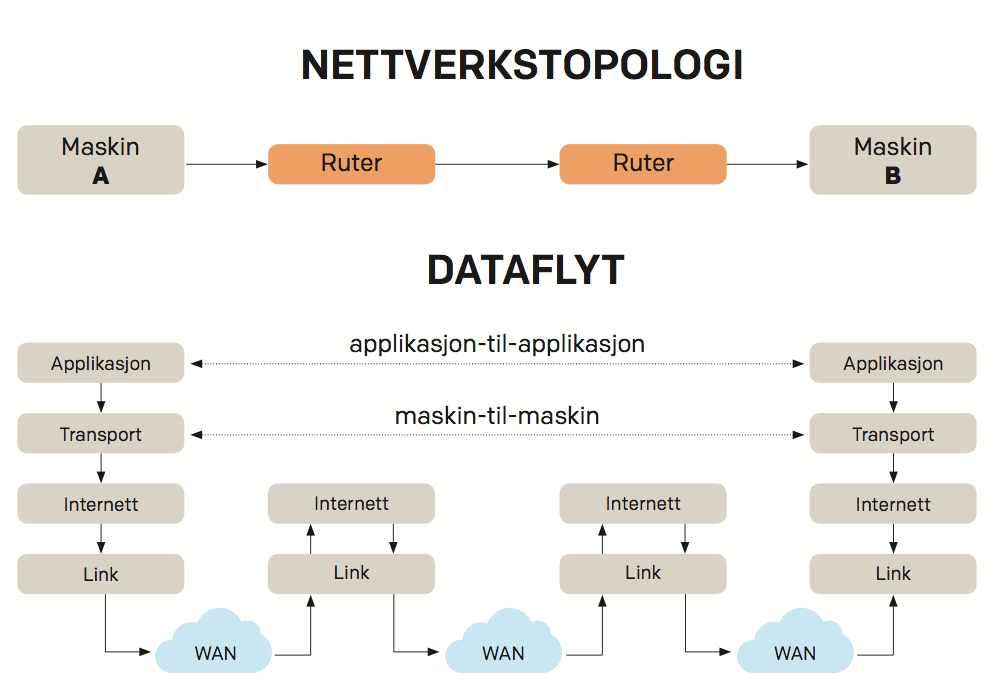 Nettverkstopologi